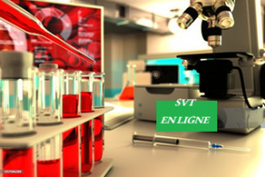 Cours- Soutien - Remédiation en SVT